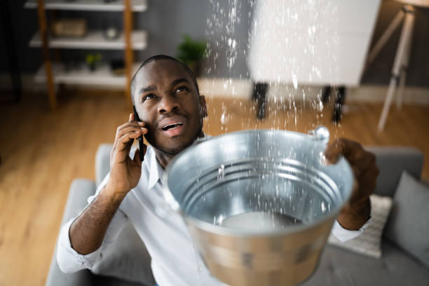 Best Basement water damage restoration  in Lorain, OH