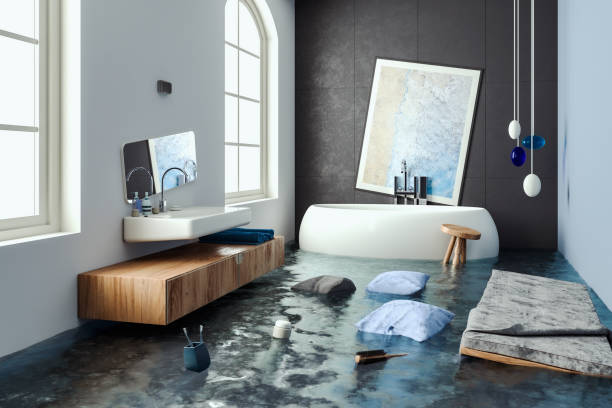 Best Water damage restoration process  in Lorain, OH