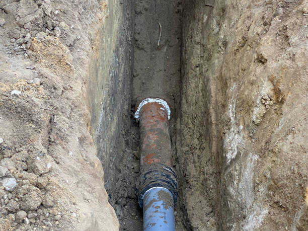 Best Sewage cleanup and water damage restoration  in Lorain, OH