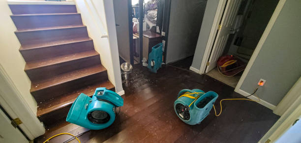 Best Water damage cleanup near me  in Lorain, OH