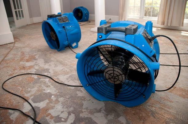 Water damage restoration process in Lorain, OH