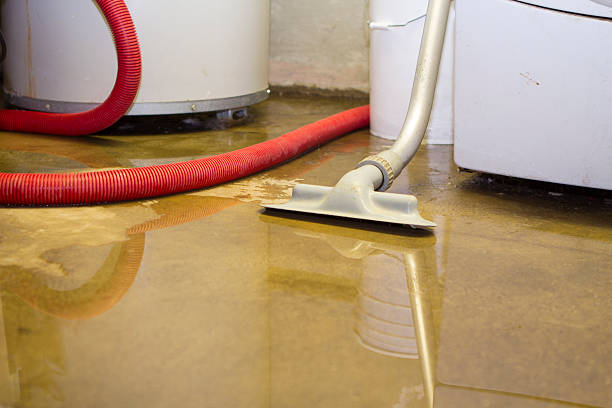 Best Commercial water damage restoration  in Lorain, OH