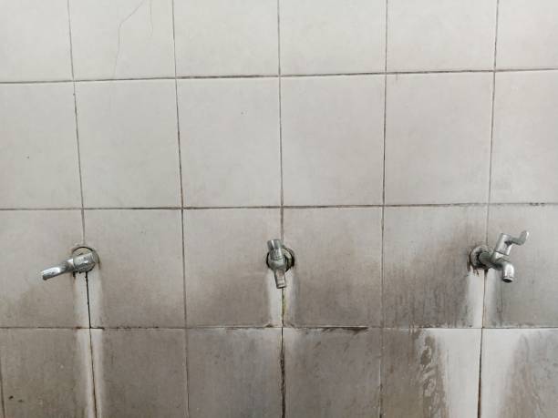 Best Basement water damage restoration  in Lorain, OH
