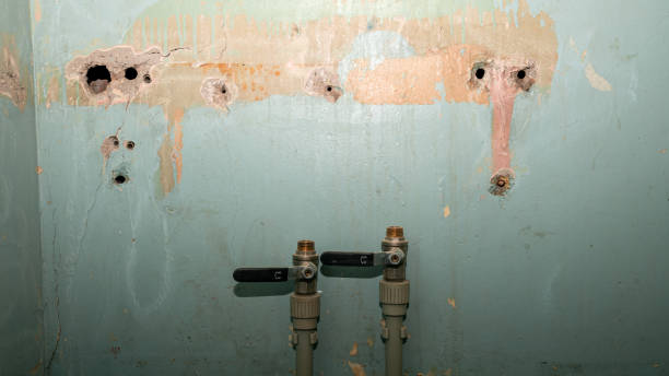 Best Emergency water damage restoration  in Lorain, OH