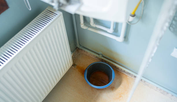 Best Water damage cleanup near me  in Lorain, OH