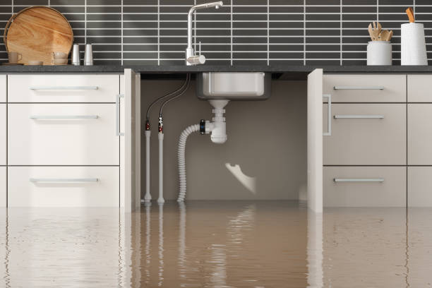 Best Water damage restoration near me  in Lorain, OH
