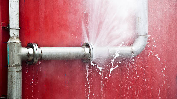Best Flooded house restoration  in Lorain, OH