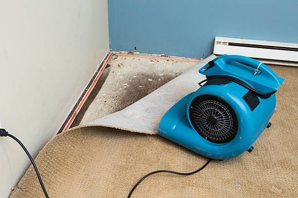 Best Fire Damage Restoration  in Lorain, OH